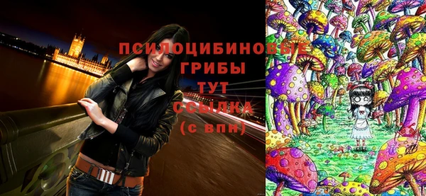 не бодяженный Зеленодольск