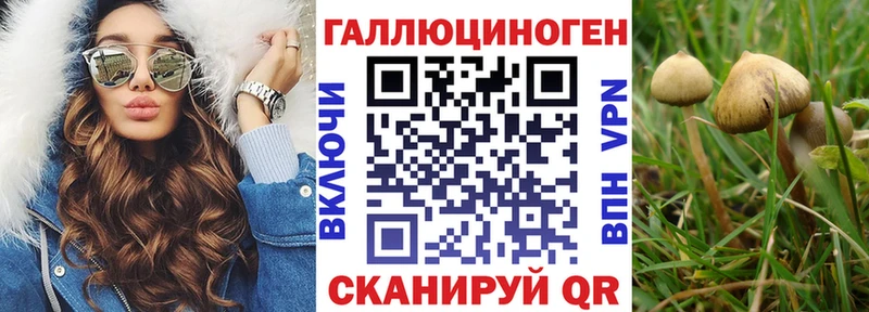 Псилоцибиновые грибы MAGIC MUSHROOMS  Купить где  Отрадная 