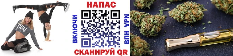 Купить где  Отрадная  Бошки марихуана сатива 